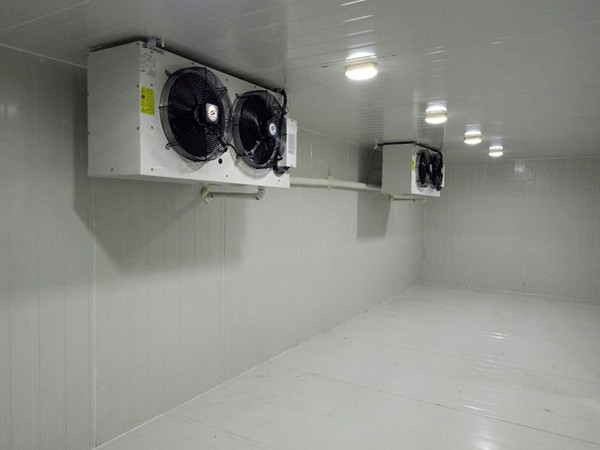 Thi công kho đông lạnh kho mát tại thuận an